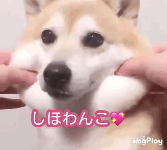 image1-gif